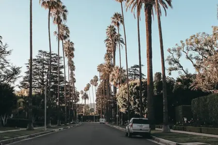 Болгарская виньетка - Купите онлайн в Болгарии