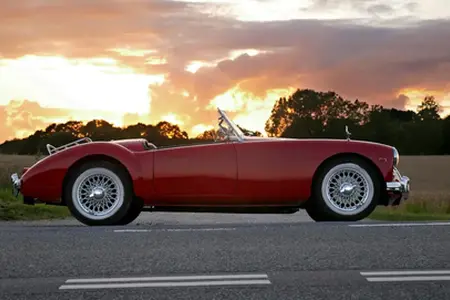 Болгарська віньєтка - онлайн покупка та корисні поради в Болгарії