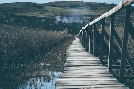 Придбання румунської віньєтки